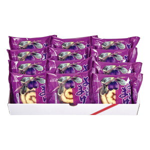 y3024ԌN[|zzzOi~c{Vj悢Ƃ܂nXJbv1؂ 12 ZOA622360269(2646636)s