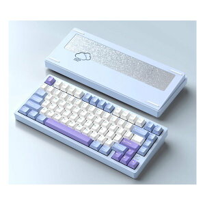 y1024ԌN[|zzzWOBKEYiEHuL[jRainy75 Pro CXJjJL[{[hiLEEBluetoothΉjJ PR75CBLU(2644239)