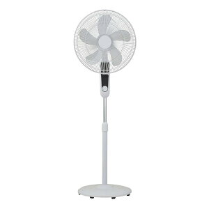 y3024ԌN[|zzz II^PtRtA[DC@ zCg GF-DCF425FR(2652881)