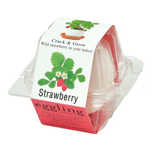 y1024ԌN[|zzzV| ZCVgEQCeggling GbOO NApbP[W ChXgx[ EG-5704(2646805)