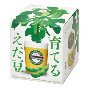 y1024ԌN[|zzzV| ZCVgEQCĂ邦͔|Zbg GD-979(2646801)