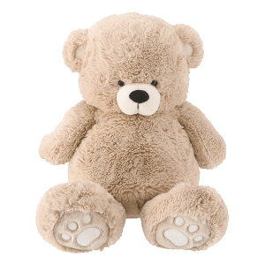 y1524ԌN[|zzzsf tW{EGLʂ  50cm/x[W 19553(2653141)s