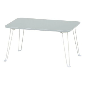 y2024ԌN[|zzzsf tW{EGL݃J[e[u N[ 60×s40cm/O[ 85380(2653307)s