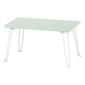 y2024ԌN[|zzzsf tW{EGL݃J[e[u N[ 60×s40cm/O[ 85382(2653309)s