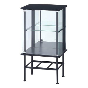 y1024ԌN[|zzzsf tW{EGLOX RNVP[X X^h 2i/~[^Cv/ubN 99498(2653312)s