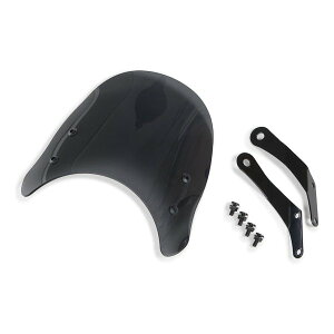 y2524ԌN[|zzzROUGH&ROAD tAh[h[790 [^[oCU[ L125 X[N RY79026SM(2646428)s 