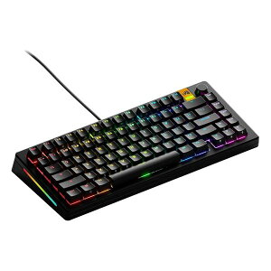 y1024ԌN[|zzzGlorious PC Gaming Race OAX s[V[ Q[~Q[~OL[{[h GMMK 3 HE 75 Prebuilt Wired Black - US GLO-KB-GMMK3-75-PB-HE-W-BLK-US(2643001)s 