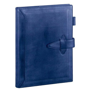 【30日は24時間限定クーポン配布】レイメイ藤井 レイメイフジイシステム手帳 ダ・ヴィンチ グランデ ロロマクラシック A5/リング20mm/ブルー DSA3010A(2658952)送料無料