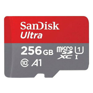 Sandisk サンディスクmicroSDXC 256GB SDSQUAC-256G-GN6MN(2641906)送料無料