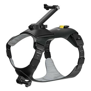 �y20����24���Ԍ���N�[�|���z�z�zInsta 360 �C���X�^360Pet Harness Mount Size S GO3/GO3S CINSBAVX(2642716)����s�� ��������
