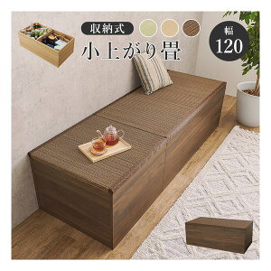 y1024ԌN[|zzz nMnt[Xc[ 120cm/[/オ/uE RUD-1159BR(2648723)s