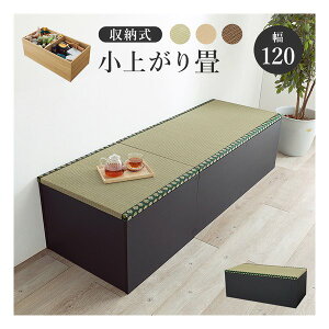 y1024ԌN[|zzz nMnt[Xc[ 120cm/[/オ/ubN RUD-1159GR(2648724)s