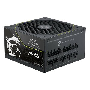 �y�G���g���[�ōő�10���|�C���g�zMSI �G���G�X�A�CMSI MAG A1000PLS PCIE5 MAG-A1000PLS-PCIE5(2679202)��������