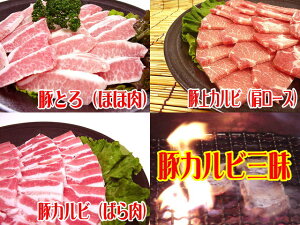 yzBY؃JrOēZbg[v1Kg]^tyz