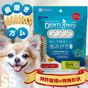 ݂K@feBEX[tFA[p SSTCYi150g 32juFORCANS@DENTI 3fairyv