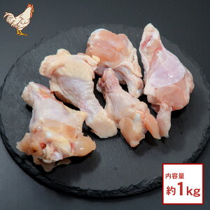 y e1kg z Y { H _ ⓀȂAYnIVNȌ{ ^ {  H ɌY Og ǂ ①