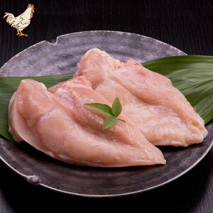 y { z Ogǂ ނ˓iɌY) i500gj | { ނ˓  Ɍ Og { `LJc wV[ ① _ ⓀȂAYnIVNȌ{ ^