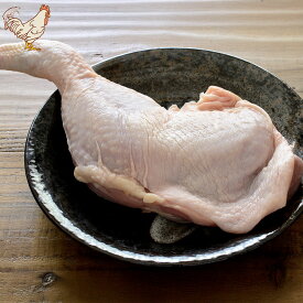 丹波若どり 骨付きもも肉 （兵庫県産) （約250g） | 鶏肉 もも 鳥肉 兵庫県 丹波 若鶏 骨付き ローストチキン チキン 冷蔵 ＼ 冷凍じゃない、産地直送！新鮮な鶏肉をご自宅に ／