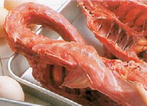 y{za{{Ki1Hj _ ⓀȂAYnIVNȌ{ ^