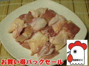ye1kgzOgǂiEgpj(ɌY)