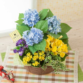 楽天市場 母の日 寄せ鉢 花 ガーデン Diy の通販