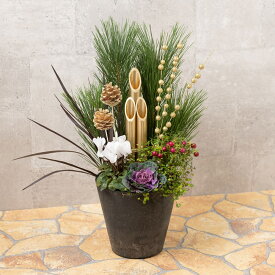 楽天市場 正月 寄せ植えの通販