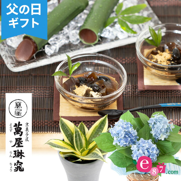 楽天市場 まだ間に合う 父の日ギフト 和菓子 花が選べるアジサイ鉢植え 観葉植物 セット 萬屋琳窕 黒豆入り黒糖わらび餅 京の竹筒水ようかん 羊羹 送料無料 4号鉢 スイーツ プレゼント 22 サプライズ 感謝 50代 60代 70代 80代 義父 イイハナ ドットコム