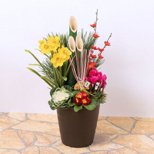 生花 正月 花の人気商品 通販 価格比較 価格 Com