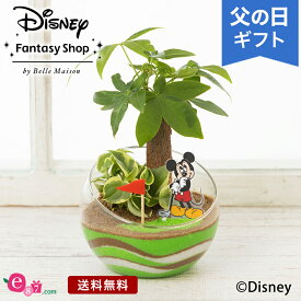 ディズニー/父の日 観葉植物 プレゼント ギフト 「ナイスショット！（ミッキーマウス）」 ギフト プレゼント ゴルフ 寄せ植え 手のひらサイズ かわいい 玄関 窓辺 リビング テーブル 室内 屋内 お父さん 実父 義父 祖父 フラワー ギフト 鉢 鉢花 花鉢