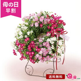 ＼早割4/1 10時まで！／ 母の日 花 バラ 寄せ植え リース 鉢植え プレゼント ギフト 「Welcome Rose」 ミニバラ レンゲローズ 3色 スタンド付き ガーデニング 赤 白 ピンク かわいい 玄関 フラワー ギフト 鉢花 花鉢 2024