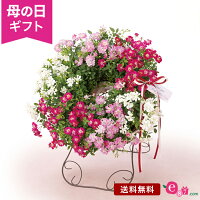 母の日 花 バラ 寄せ植え リース 鉢植え プレゼント ギフト 「Welcome Rose」 ミニバラ レンゲローズ 3色 スタンド付き ガーデニング 赤 白 ピンク 華やか かわいい 玄関 フラワー ギフト 鉢 鉢花 花鉢 2024 母の日カード付き