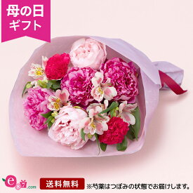 母の日 花 芍薬 花束 プレゼント ギフト 「芍薬美人」 昨年完売 カーネーション ラッピング 人気 ピンク 鮮やか 上品 香り 美人花 毎年人気 シャクヤク 華麗 優雅 玄関 窓辺 リビング テーブル 室内 屋内 フラワー ギフト ブーケ 生花 切花 2024 母の日カード付き