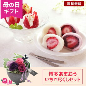 母の日 花 いちご大福 スイーツ セット プレゼント ギフト 「博多あまおう いちご尽くしセット」 プリザーブドフラワー 花 和風 クリアケース入り アイス 詰め合わせ 苺 イチゴ 丸ごと デザート かわいい 冷凍 フラワー ギフト 枯れない花 2024 母の日カード付き