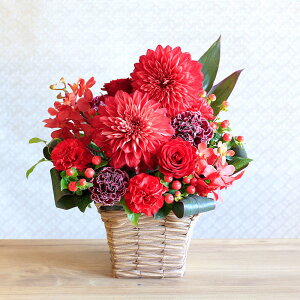 hV̓@AWguanniversary flower`r[/AVXg/gp[Y`v Iׂ3 o J[l[V oXPbg Mtg v[g җ Ê  j  O rO e