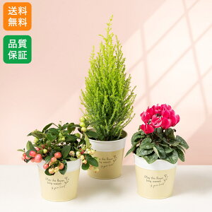 NX}X t[ 3Zbg Mtg  Mtg v[g AuGWCINX}Xv a LO j   t[   Ԕ