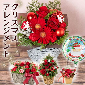 クリスマス アレンジメント 花 ギフト プレゼント 選べる4種 誕生日 記念日 お祝い 感謝 お礼 フラワー アレンジ 生花 クリスマスカラー アレンジ 「トワイライト・ルージュ/Christmas Bloom Tree/サンタバルーンのサプライズ/Holiday Noel Rouge」