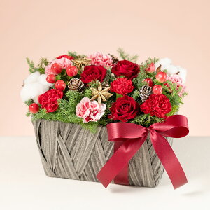 NX}X AWg Mtg v[g Iׂ4ugCCgE[W/Christmas Bloom Tree/T^o[̃TvCY/Holiday Noel Rougev a LO j   t[ 