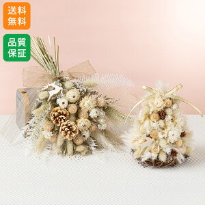 NX}X XbO vU[uht[ hCt[ vU[uhhCt[u[XEXbOyAZbg Nordic PurplevǊ|   v[g NX}Xv[