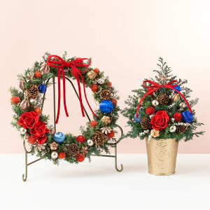 NX}X c[ hCt[  Iׂ3 ~jc[ vU[uhhCt[u[XEc[yAZbg Sweet Pink/Christmas Red/Elegant Purplev v[g NX}Xv[g