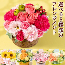 期間限定価格 母の日 アレンジメント アレンジ 生花 選べる5種 カーネーション バラピンク オレンジ プレゼント ギフト バスケット かわいい 丸い 元気 ナチュラル おしゃれ 人気 母 「マザーズ・ピンク/オランジェ/Moms Smile/スマイリーサンシャイン/ナチュラルシャイン」