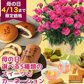 早割 母の日 【選べるスイーツ5種】 花とスイーツ 鉢植え 花 カーネーション 4号 セット フラワー スイーツ 黒豆ロール ロールケーキ どら焼き どらやき シュガーバターサンドの木
