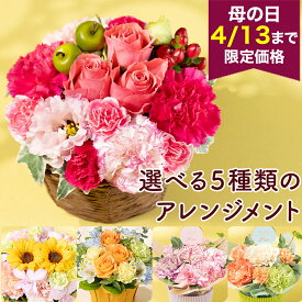 期間限定価格 母の日 アレンジメント アレンジ 生花 選べる5種 カーネーション バラピンク オレンジ プレゼント ギフト バスケット かわいい 丸い 元気 ナチュラル おしゃれ 人気 母 「マザーズ・ピンク/オランジェ/Moms Smile/スマイリーサンシャイン/ナチュラルシャイン」