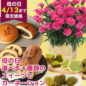 期間限定価格 母の日 鉢植え カーネーション 4号 セット 選べるスイーツ4種 フラワー 鉢 鉢花 花鉢 お菓子 洋菓子 和菓子 スイーツ ゼリー 黒豆ロール ロールケーキ 抹茶スイーツ どら焼き どらやき 母 プレゼント ギフト