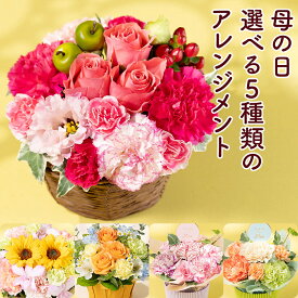 期間限定価格 母の日 アレンジメント アレンジ 生花 選べる5種 カーネーション バラピンク オレンジ プレゼント ギフト バスケット かわいい 丸い 元気 ナチュラル おしゃれ 人気 母 「マザーズ・ピンク/オランジェ/Moms Smile/スマイリーサンシャイン/ナチュラルシャイン」
