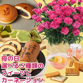 期間限定価格 母の日 鉢植え カーネーション 4号 セット 選べるスイーツ5種 フラワー 鉢 鉢花 花鉢 お菓子 洋菓子 和菓子 スイーツ ゼリー 黒豆ロール ロールケーキ 抹茶スイーツ バターサンド どら焼き どらやき 母 プレゼント ギフト