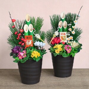 叼  񂹐A   u_叼 12 / X^CbV叼1v j a t[Mtg v[g 蕨 VN 2026 N 叼 ̊  