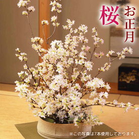 お正月 啓翁桜 お祝い 切り花 桜 花 【年内届】 「みちのく初桜〜M〜 8本 / みちのく初桜〜L〜 10本 」 約70〜80cm 桜 花束 花 ギフト プレゼント お祝い フラワーギフト 贈り物 新年 桜 家族 2026 お年賀 玄関 床の間 和室 実家 両親 迎春