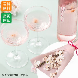    ԑ Zbgu₽炷 k{X@KIRAKIRAv L[ 500ml [  t[Mtg 蕨 VN 2026 N