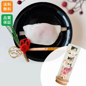  vU[uht[ ZbguÏt@Ԃт݁v َq aَq ~jo t[Mtg  v[g VN 蕨 j \ Vt }t N ߔN CeA A 