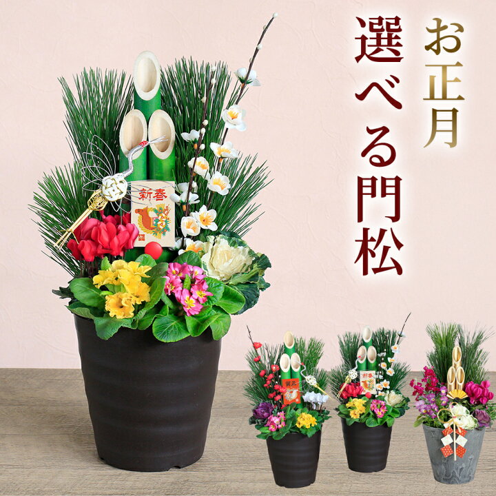 楽天市場】門松 花 寄せ植え 豪華 お正月 「モダン門松 1個＆2個 